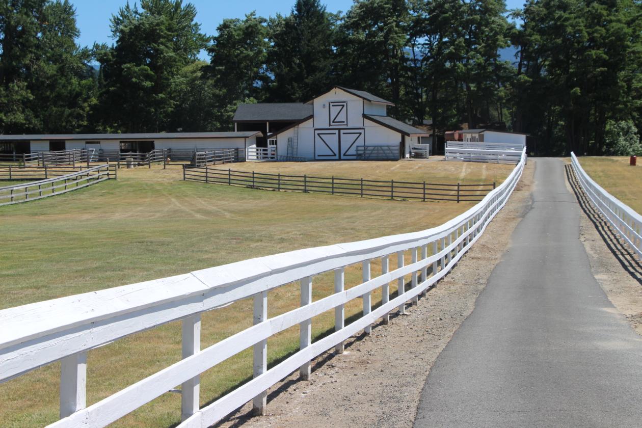 Roguemere Ranch River Equine Elegance - photo 28