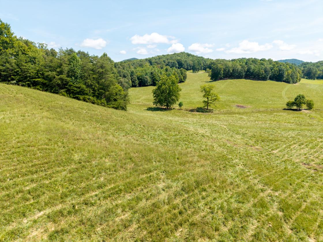 Large Equestrian Estate-Pasture, Mountains, Creeks - photo 13