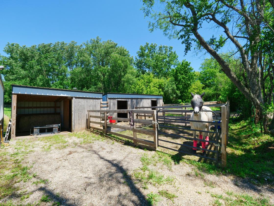 EQUESTRIAN ESTATE/HISTORIC HOME/OWNER FINANCING - photo 28