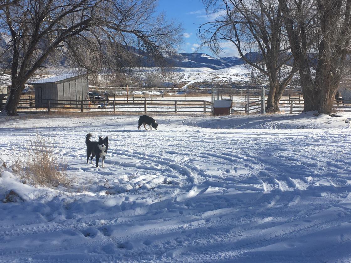 645 Acre Farm & Horse Property - photo 19