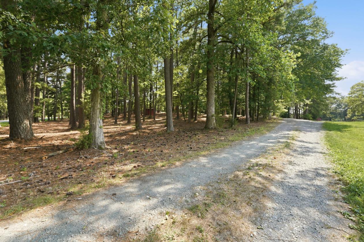Horse Farm Potential in Sought-After Moore County! - photo 9