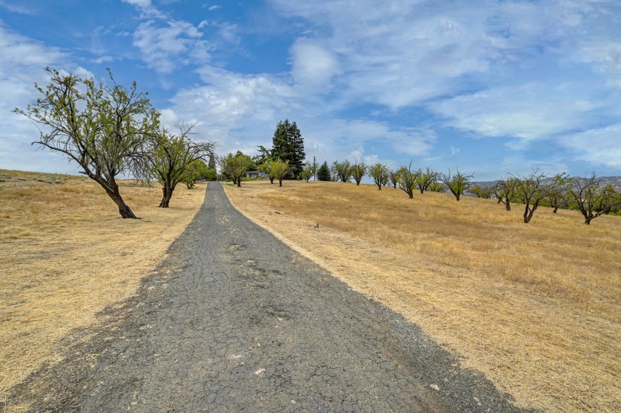5-Acre Hobby Farm/Ranch - Horse-Ready! - photo 8