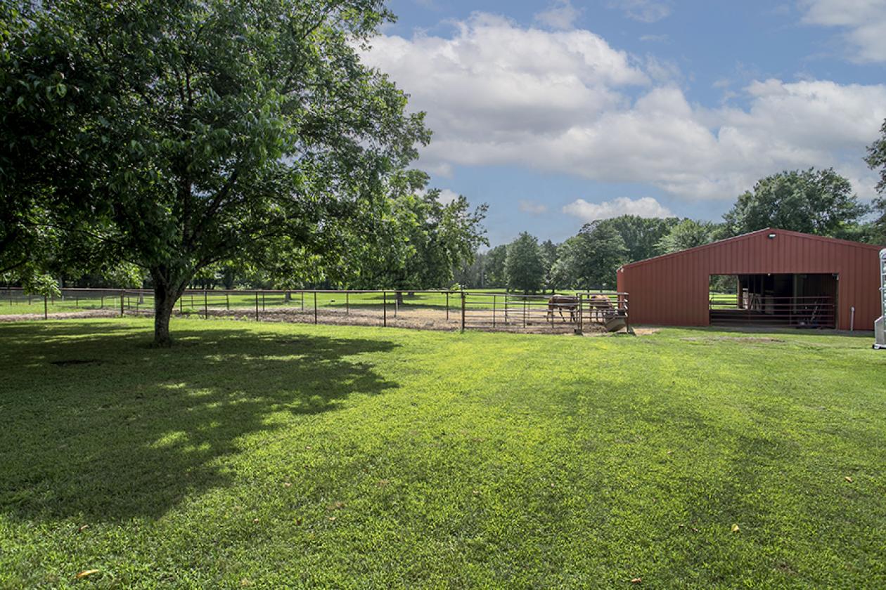 Turnkey Horse Farm on 5 acres with barn - photo 20