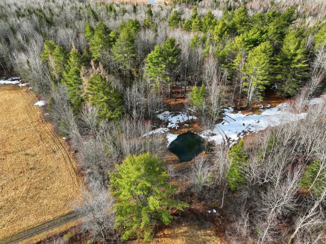 Working Farm with Barn, Pasture & Trails + Income - photo 23