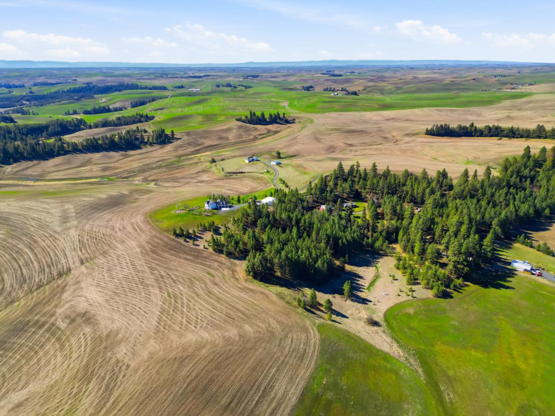 Luxury Home on 10 Acres with Equestrian Potential - photo 26