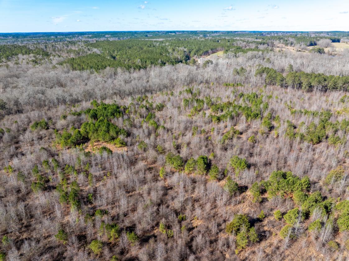 211 Acres- Luxury Estate & Equestrian Development - photo 20