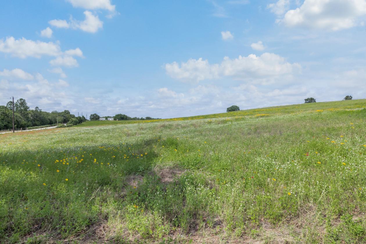 99 Unrestricted acres - photo 3