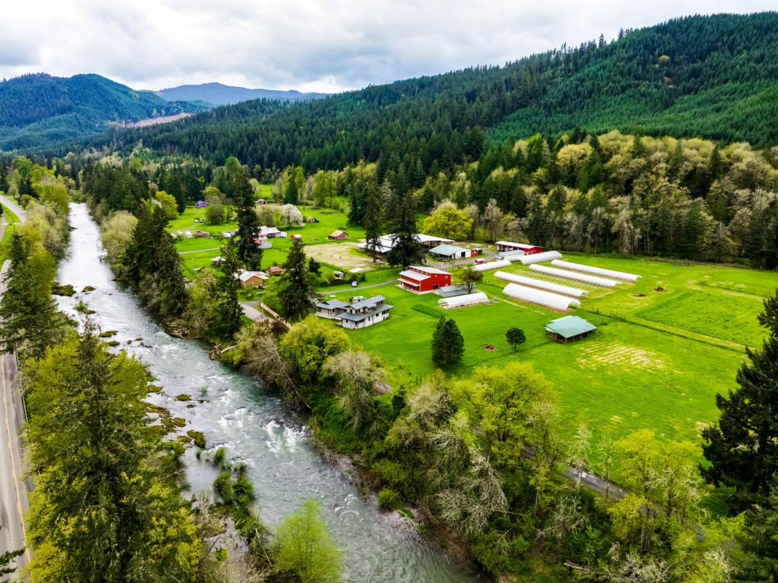 UNIQUE EQUESTRIAN AND ORGANIC FARM PROPERTY - photo 1