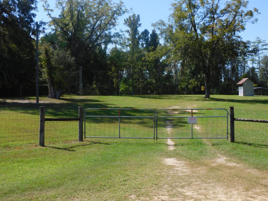 Croom Land - photo 5