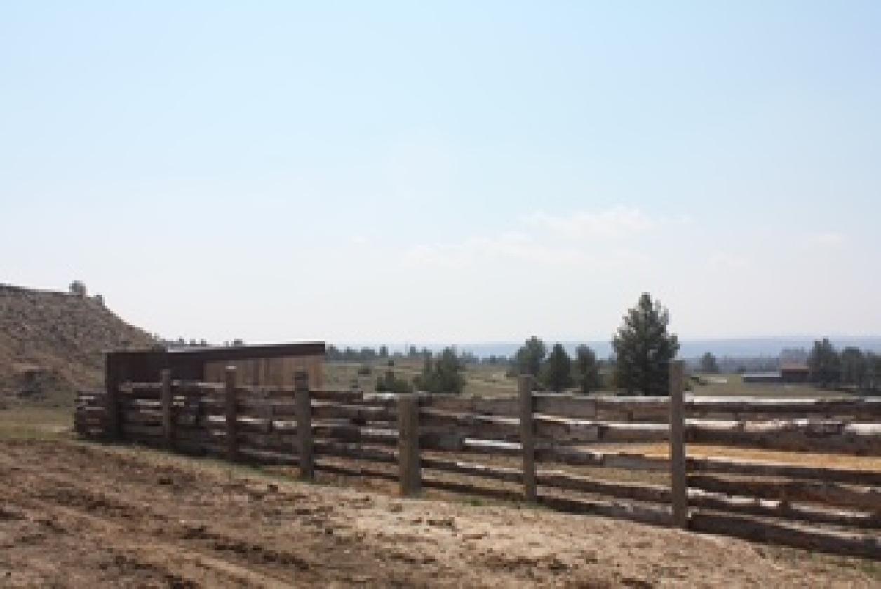 Piece of Heaven on 75 Acres - photo 9