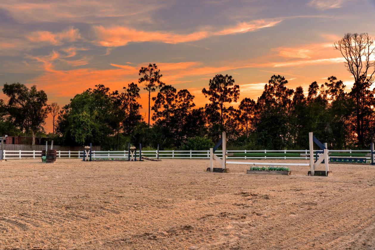 Upgraded equestrian estate on 5 acres - photo 11