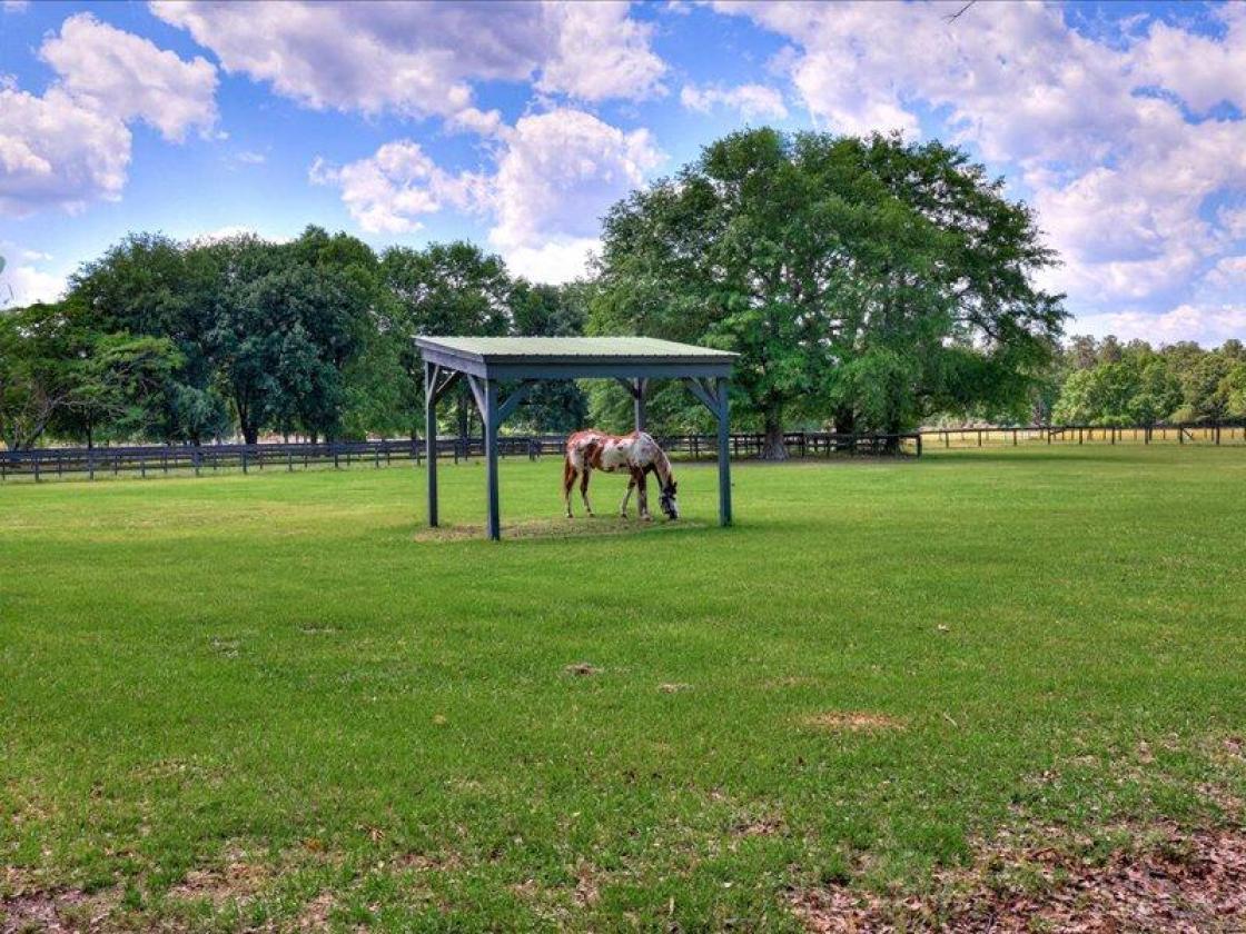 Daisy Hill Farm - Horse Property - photo 24