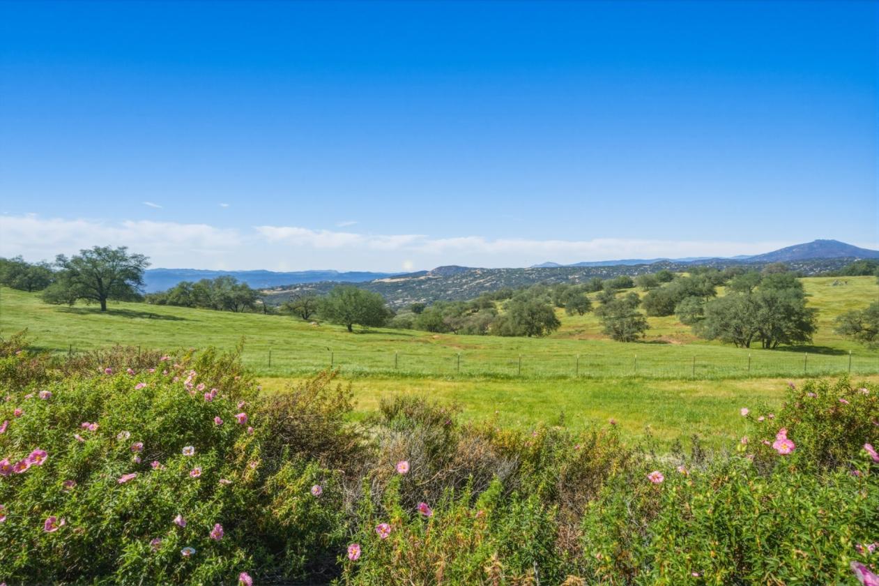 Luxury Equestrian Estate, Resort home, 352 Acres - photo 14