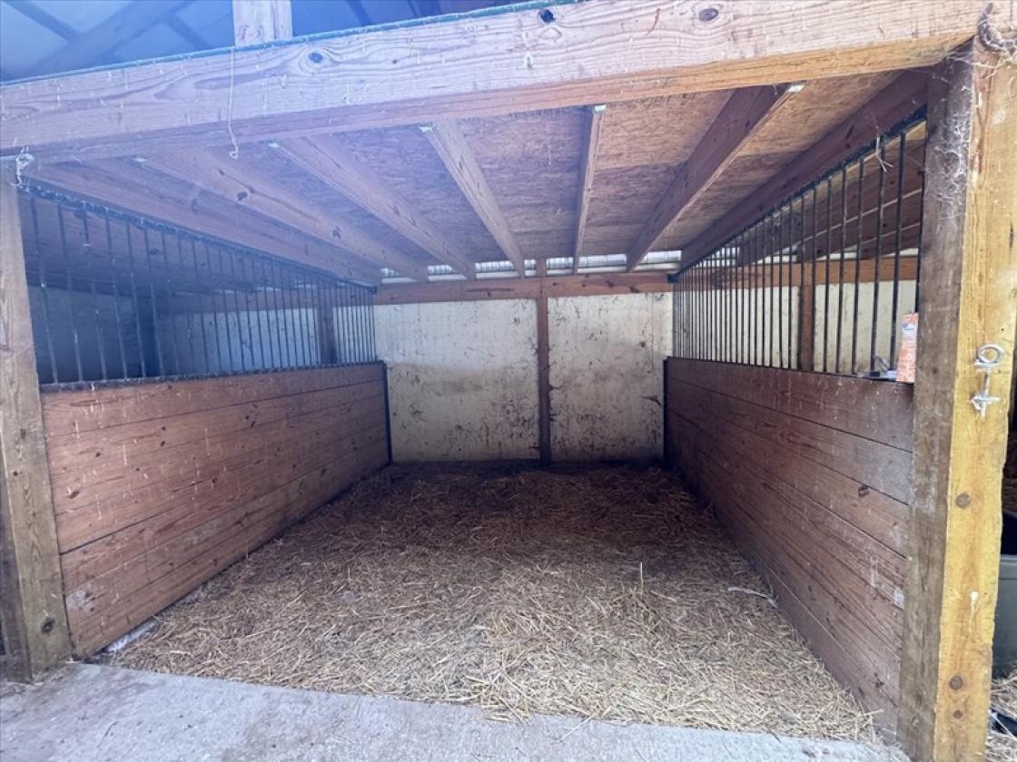 Charming Hobby Farm - photo 22