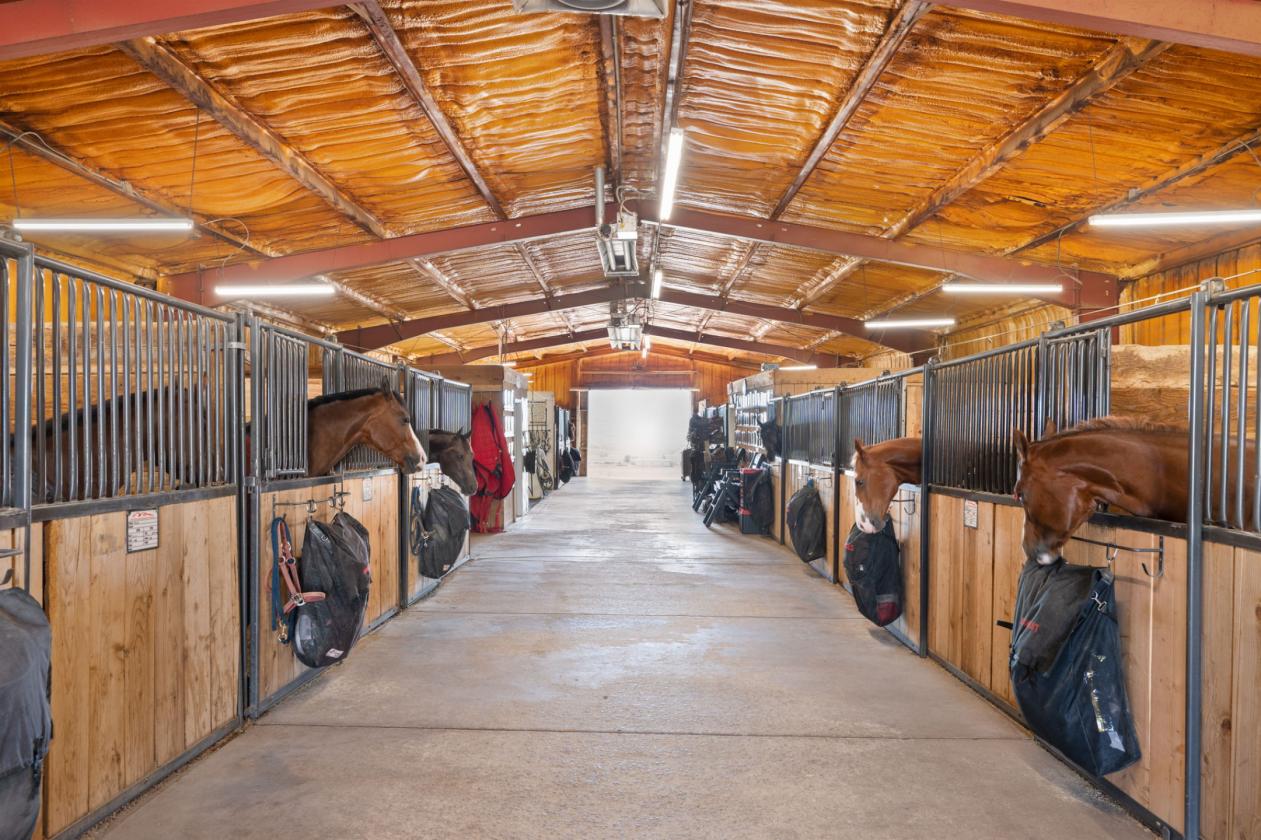 36 Breathtaking Acres w/ 15 Stalls & 3 Arenas - photo 14
