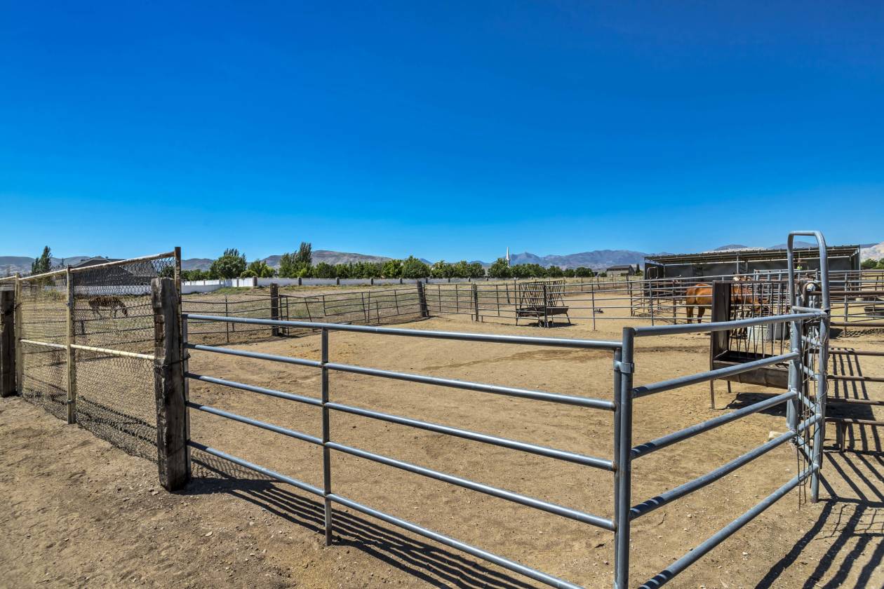 Luxury Horse property with Indoor riding arena with 14 stalls