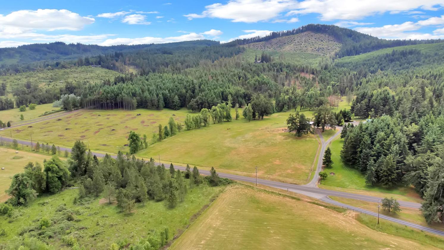 73+acre Estate a rare blend of amenities! - photo 26