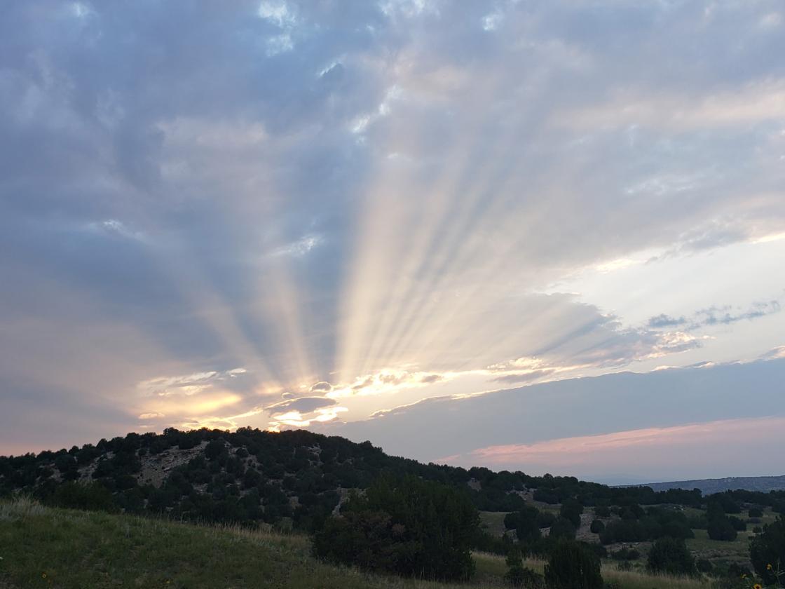 Cash Ranch - photo 29
