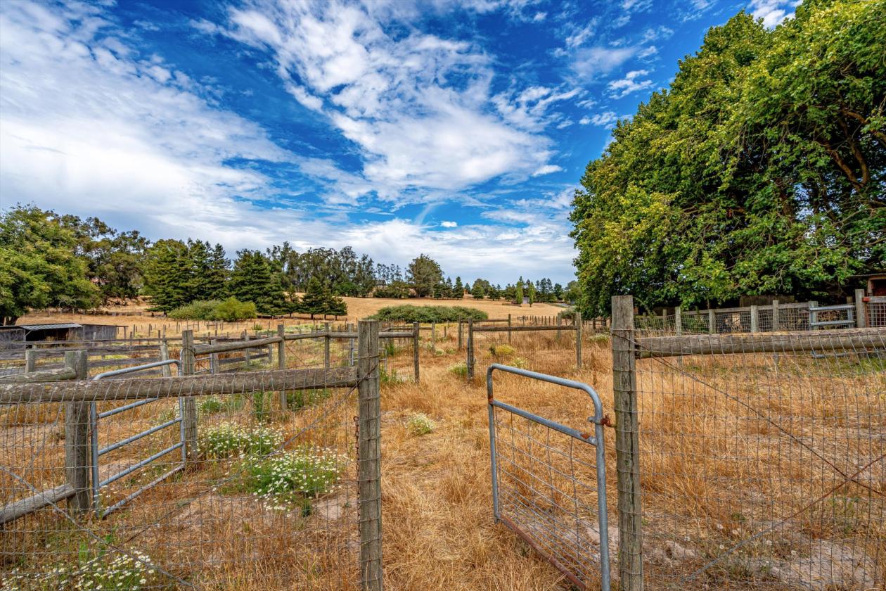 Horse-Ready Country Property with Barn & Pastoral - photo 20
