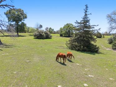 Property image.