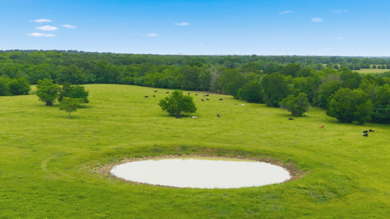 194 ACRE BREATHTAKING RANCH - photo 8