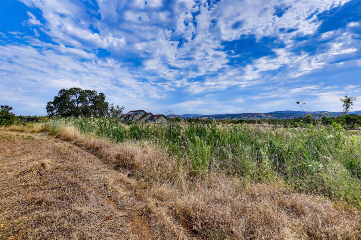 Premier 20-Acre Equestrian Estate - photo 21