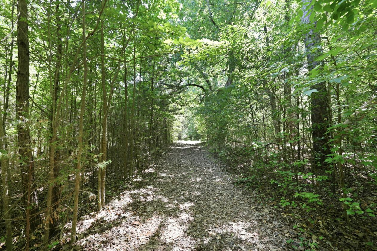 40+ acre Farm in Randolph County - photo 30