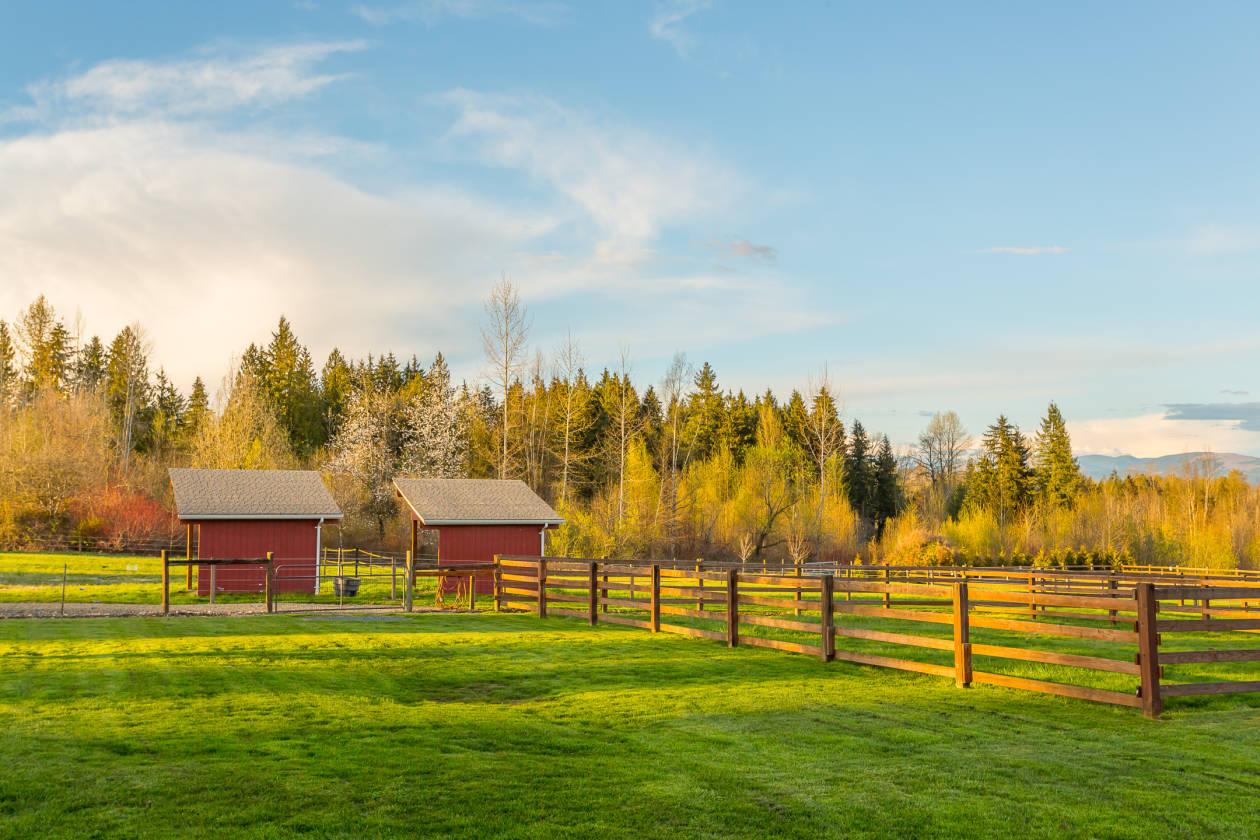 Spring Meadow Farm, view equestrian acreage and restored vintage home/barn Lake Stevens