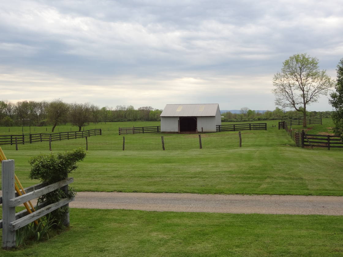 HORSE/CATTLE FARM 276.38 WORKING ACRES Berryville, Clarke County