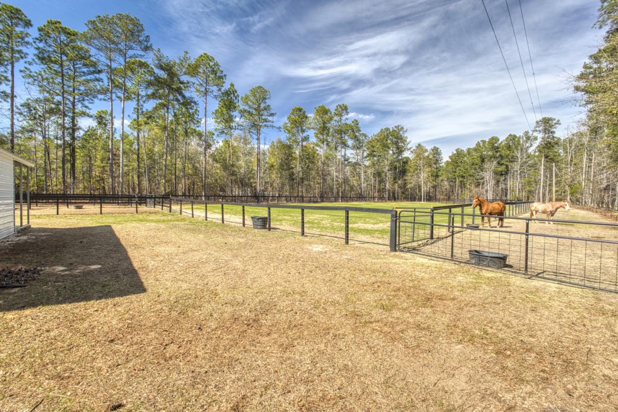 Turnkey & Private 2-Acre Horse Property - photo 28