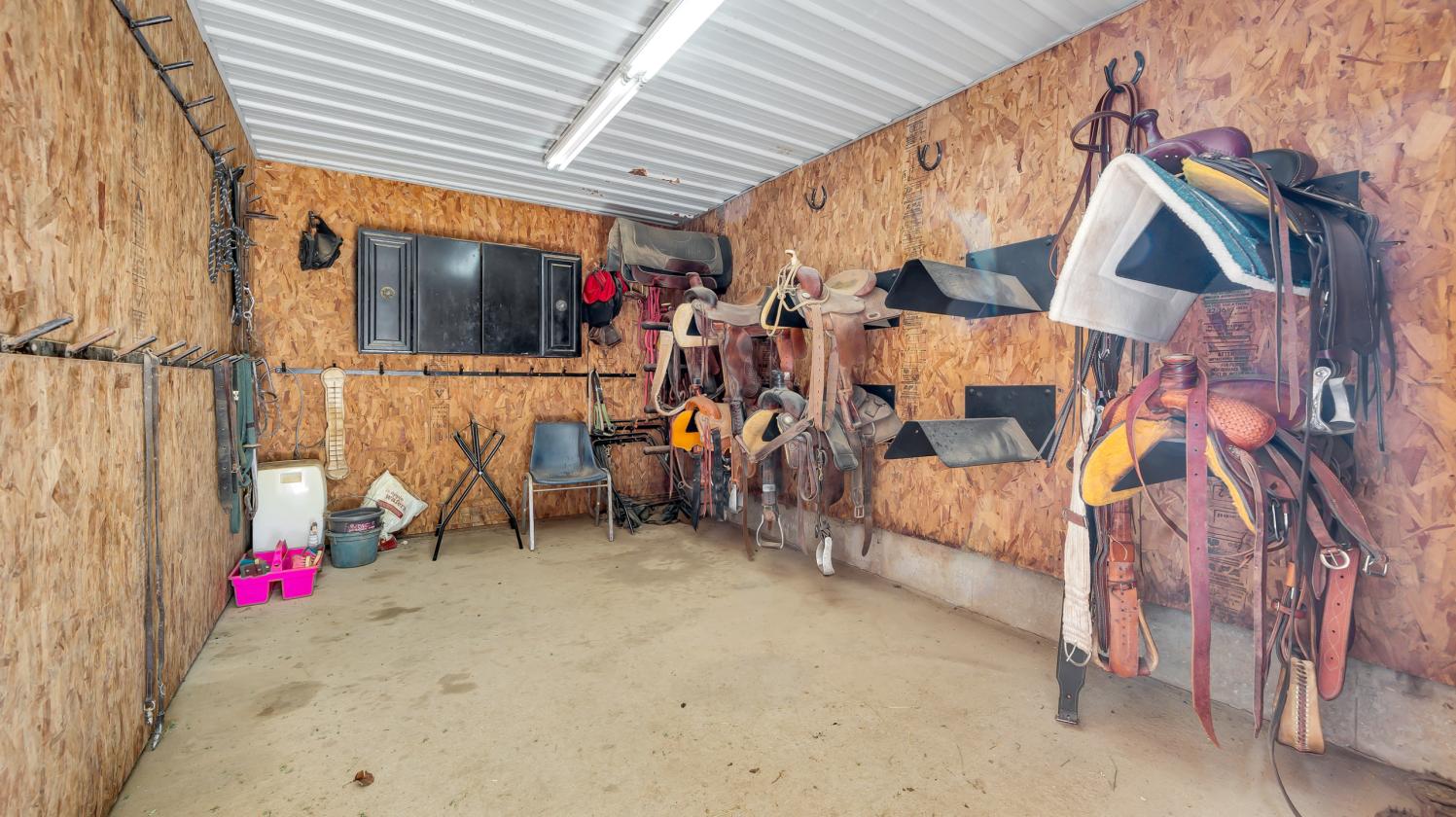 The Ultimate Equestrian Business Opportunity - photo 11