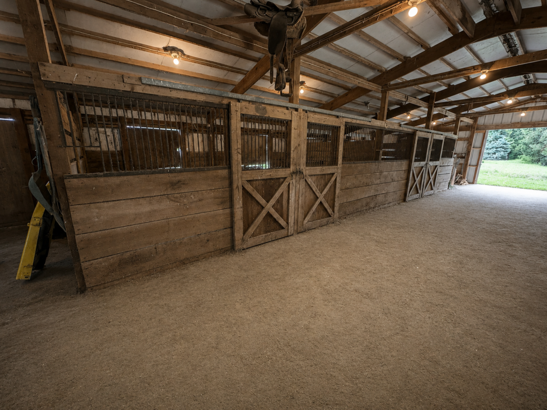 Horses, Hobbies, Recreation, and Outdoor Living - photo 28