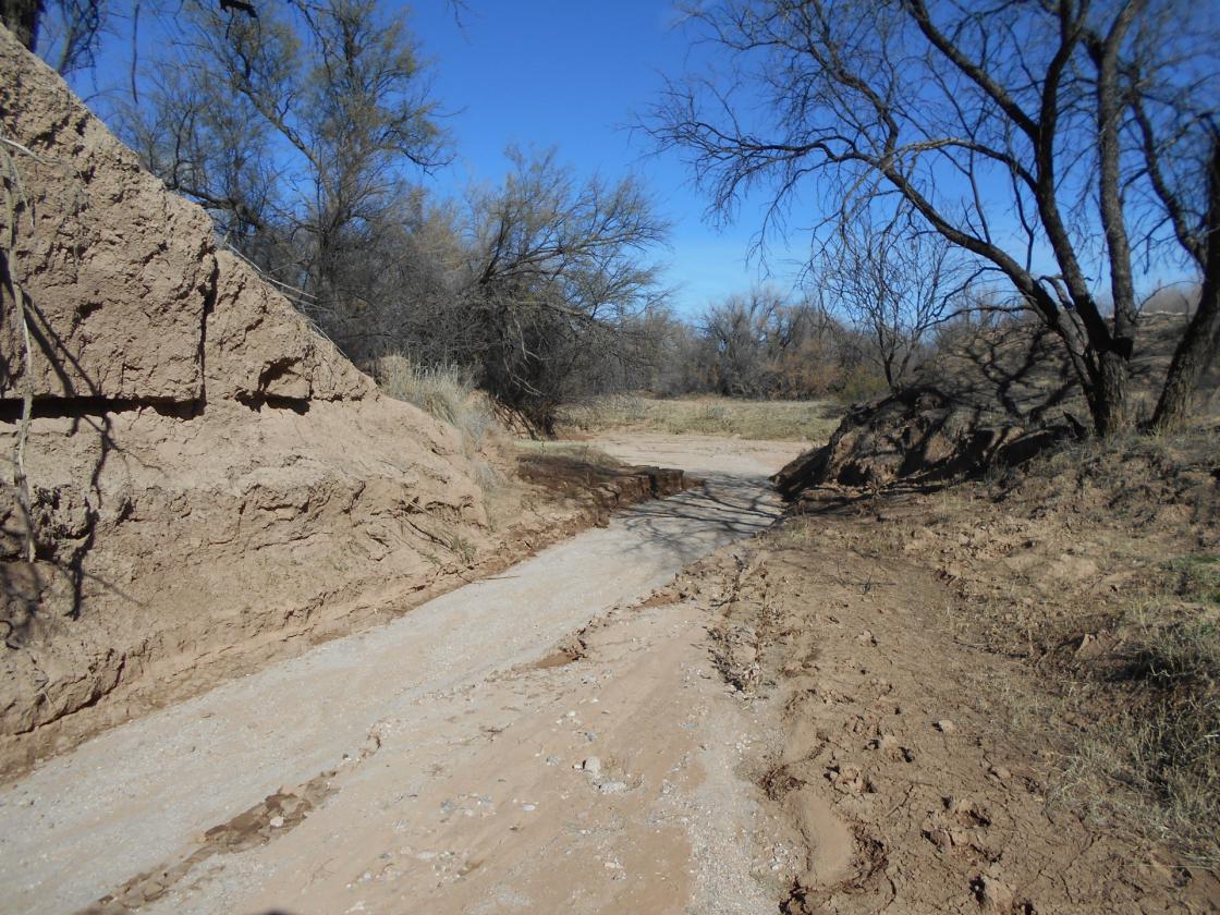 Horse Property - 69 Acres on San Pedro River! - photo 20