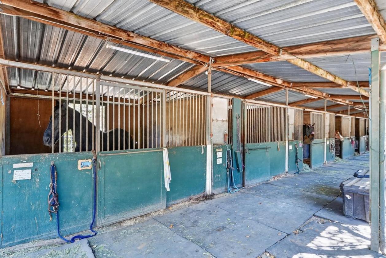 Legendary Willowpond Equestrian Estate - photo 14