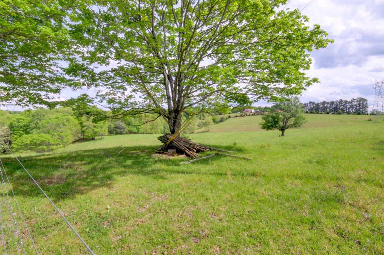 57 +/- Fenced Acreage - photo 5
