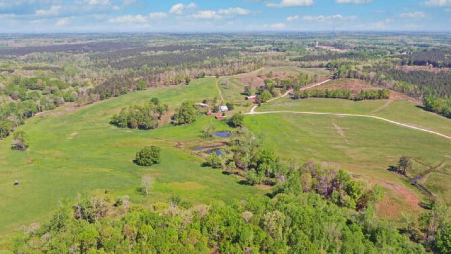 Madison County - Large Estate Farm - photo 30