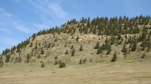Property image.