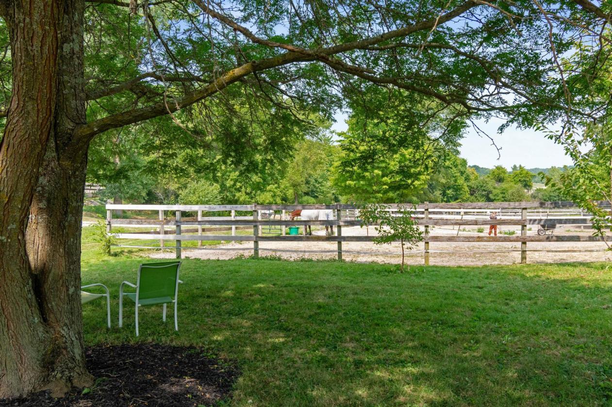 Established Equestrian Facility on 17 Acres - photo 29