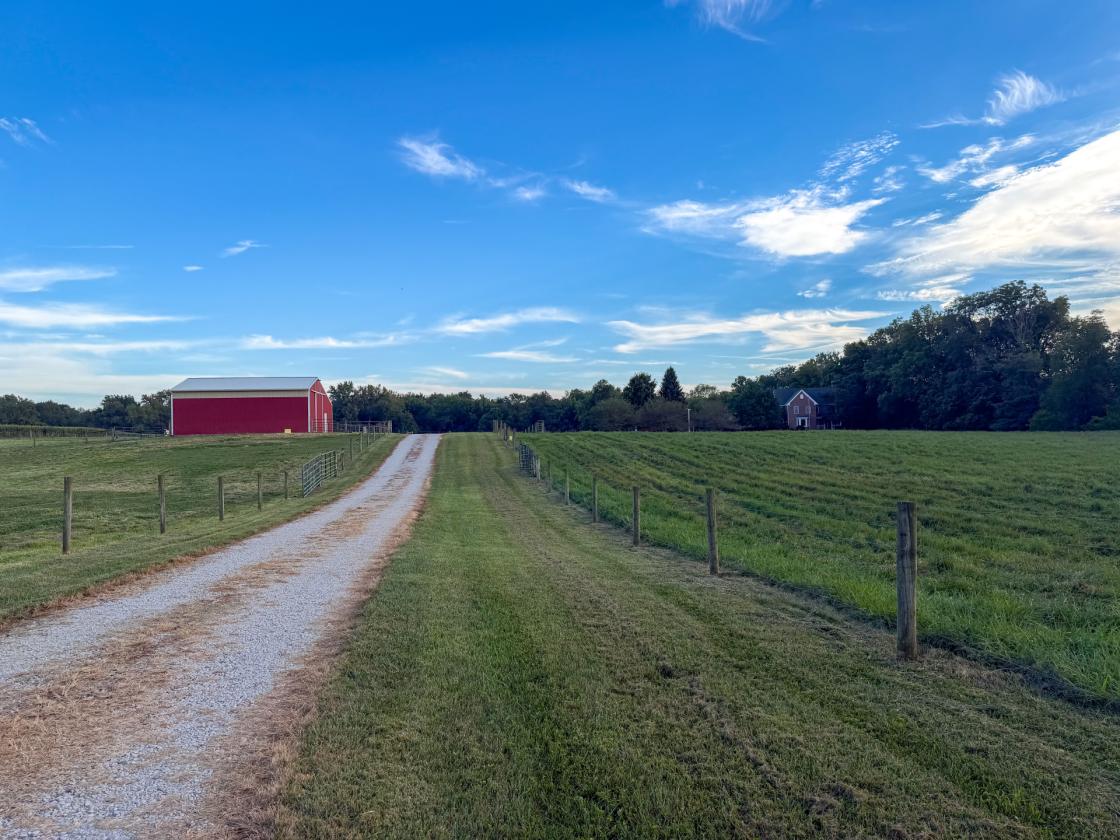 Beautiful Horse property nestled on 20 acres - photo 4