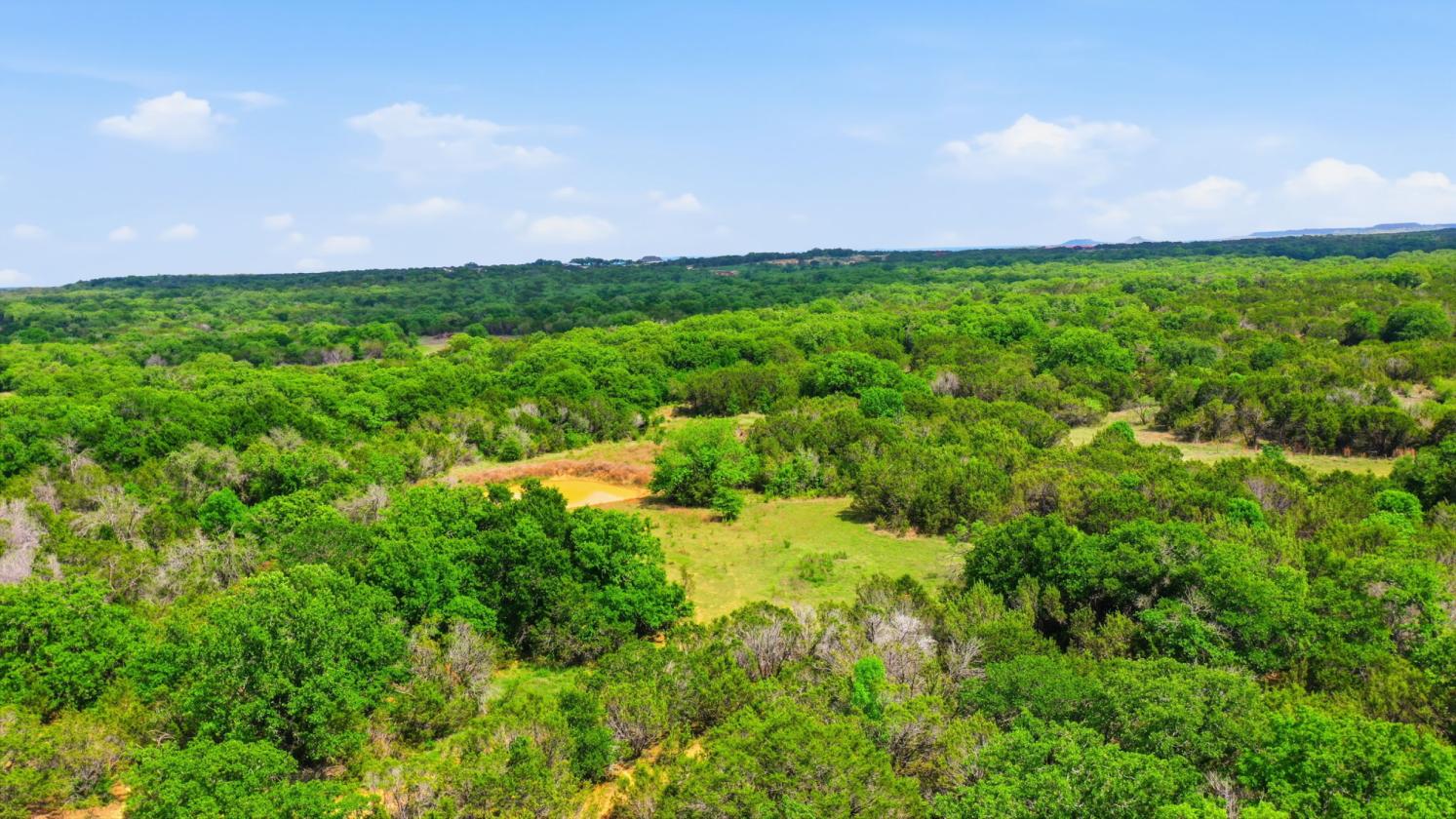 12-Acre Ag-Exempt Property - photo 26