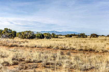 Property image.