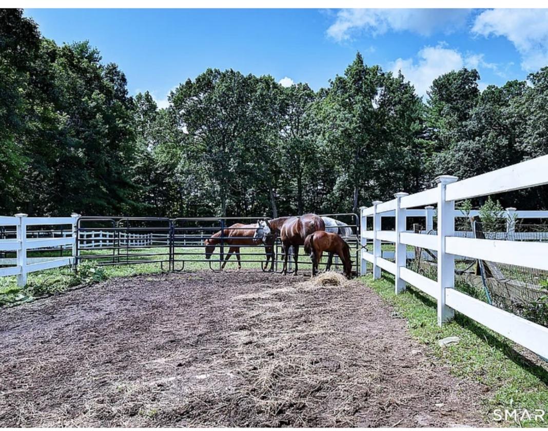 Historic equestrian estate, modern conveniences - photo 7