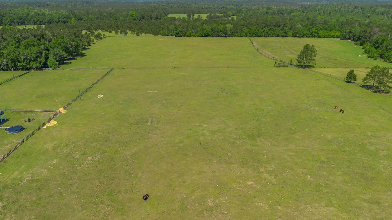 15 Acre Equestrian Home and Farm Near Tallahassee - photo 8