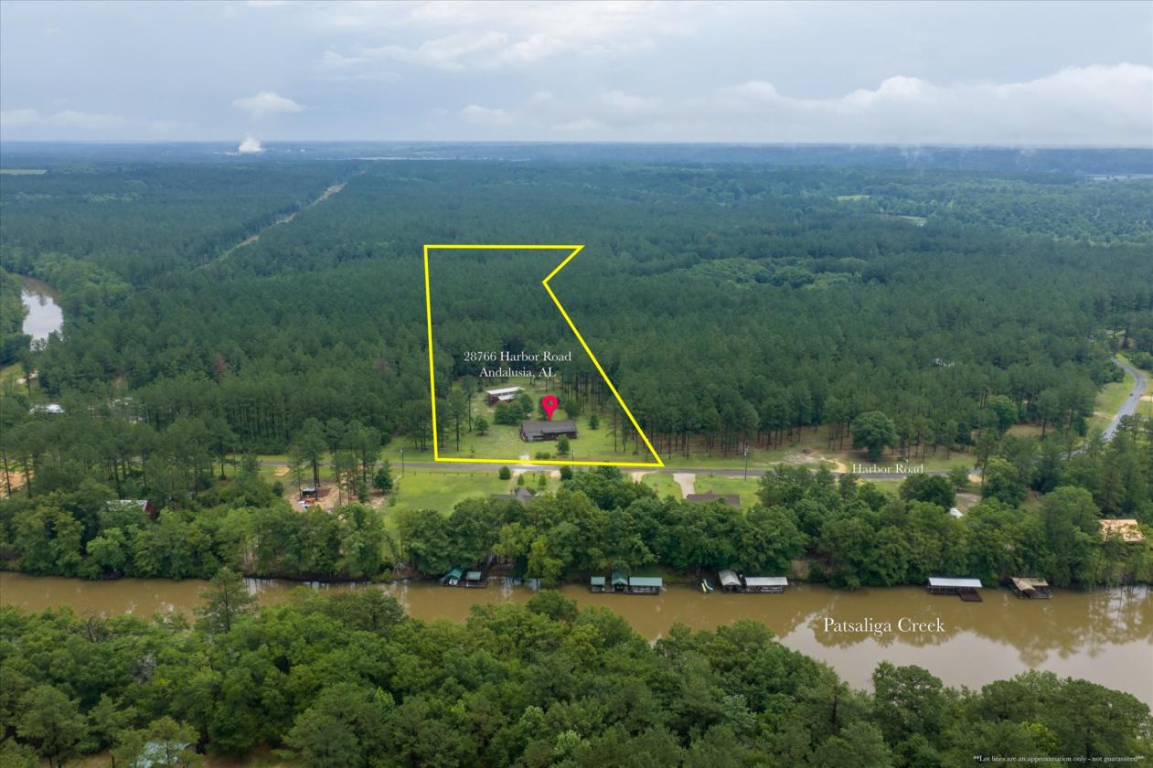 Custom Log Cabin on 9 Acres with 2 Horse Stalls - photo 6