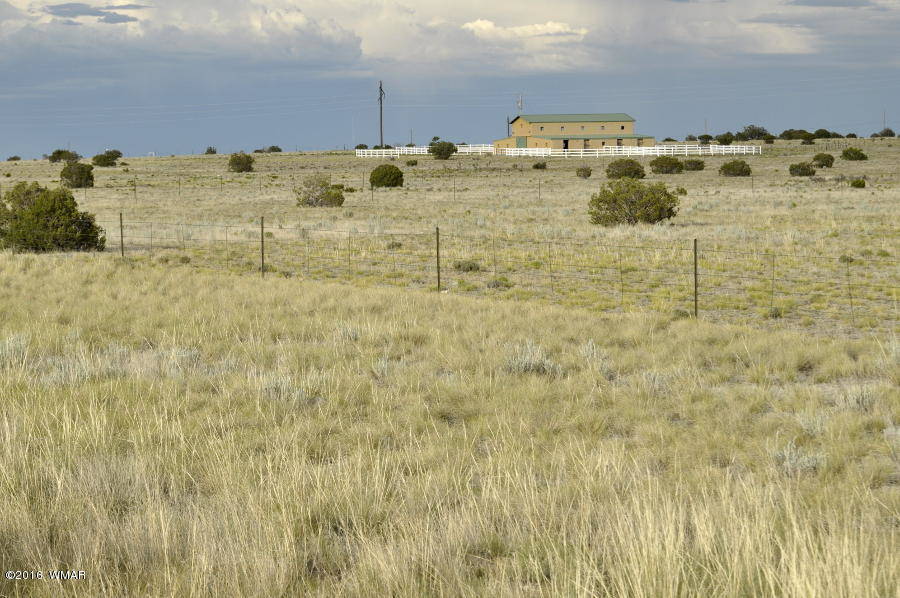 Arizona/Concho Valley Horse Property Extraordinaire! Concho, Apache