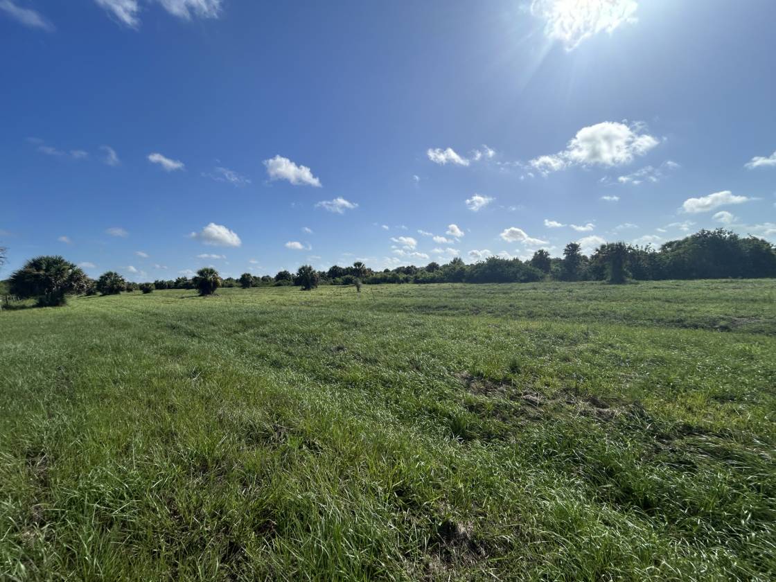 Horse Property for sale.