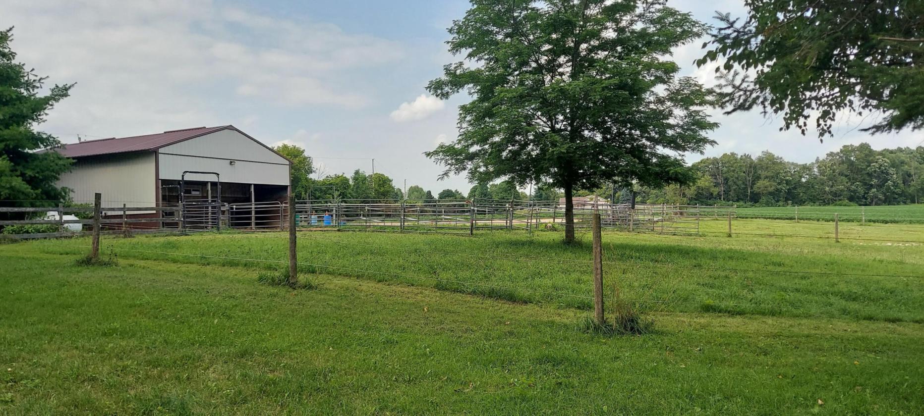Horse Property with Home, Barn, Arena & Pasture - photo 17