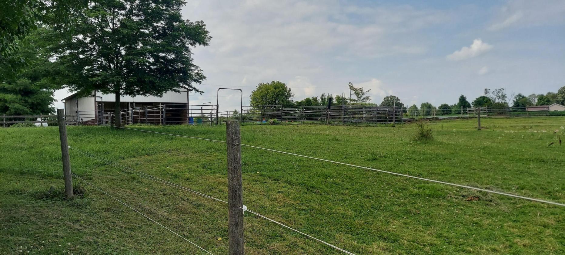 Horse Property with Home, Barn, Arena & Pasture - photo 18