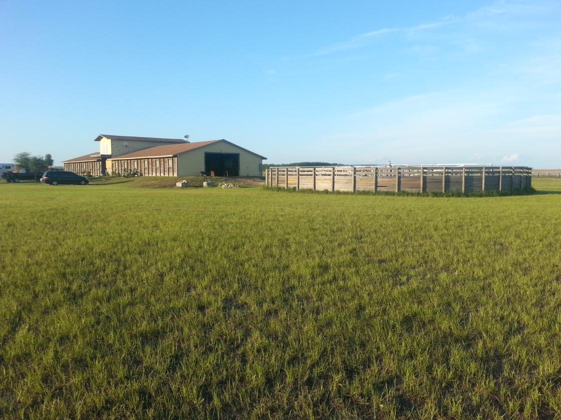 23 Stall Barn on 1 Mile Racetrack w/ Apt - photo 4