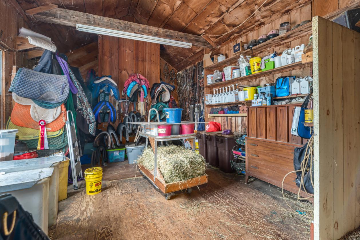 Thriving Equestrian Facility - photo 7